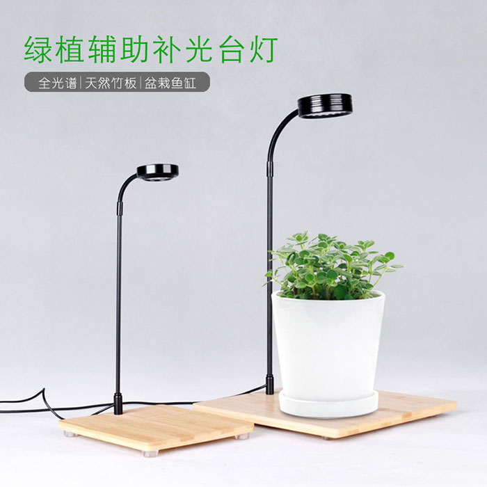 植物盆栽臺燈