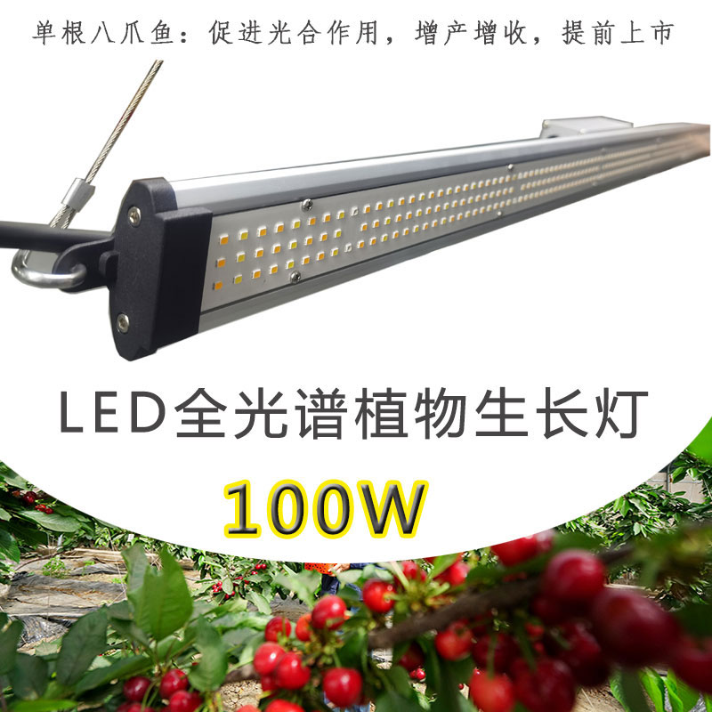 全光譜LED植物生長燈八爪魚100W定制光譜五檔調(diào)節(jié)180w燈條補(bǔ)光燈